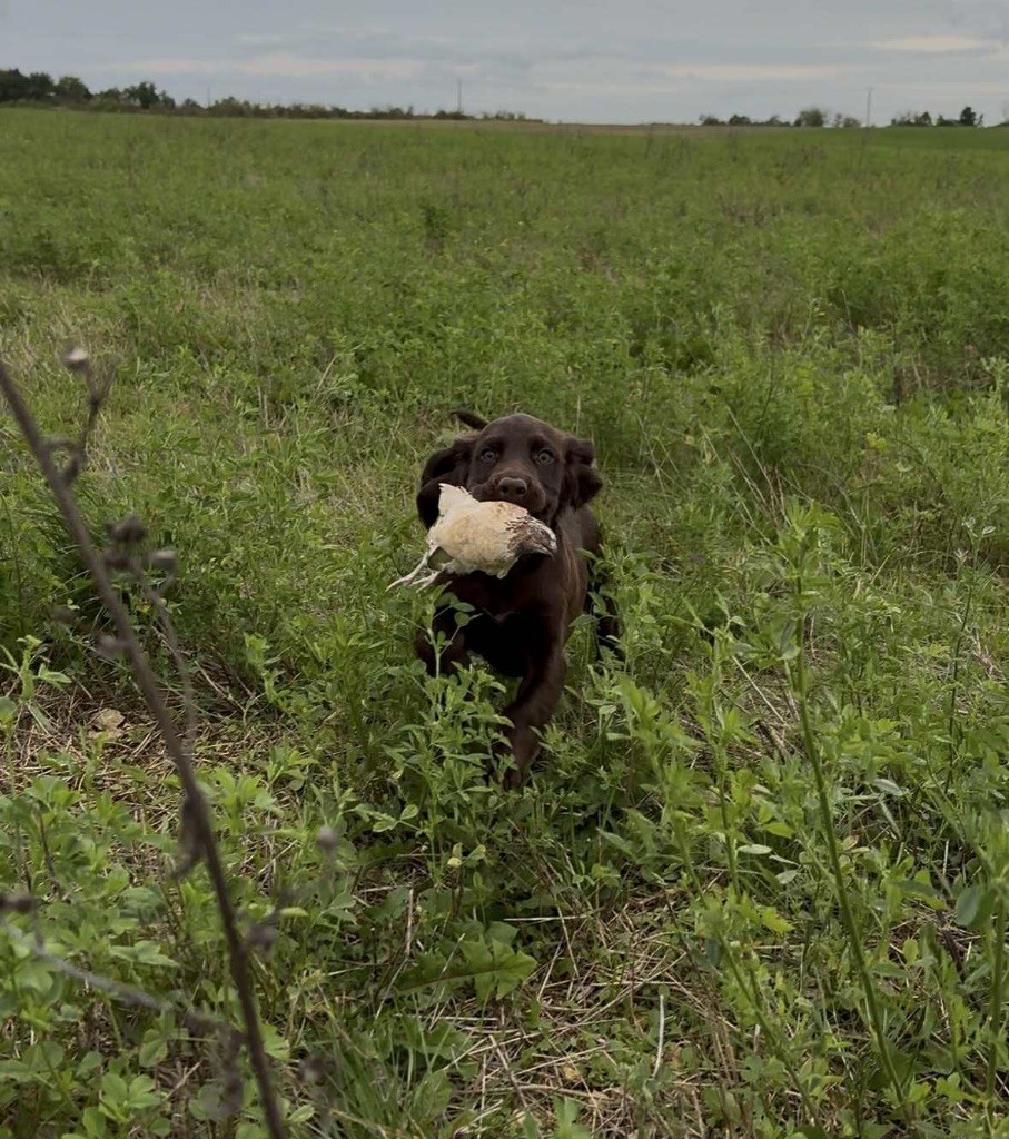 Asie De La Graverotte