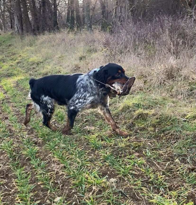 Oslo de la chapelle apollon